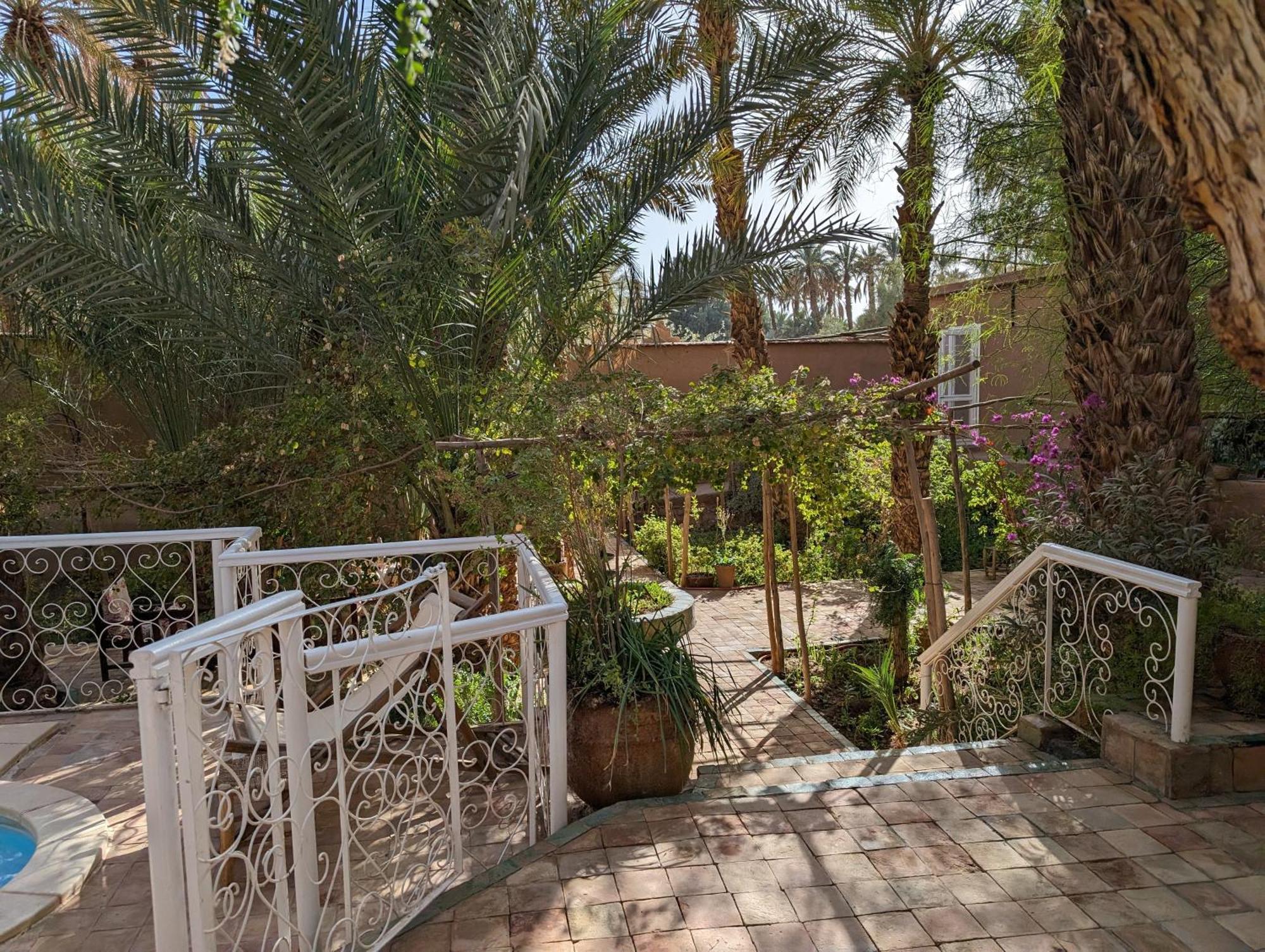 Villa Zagora Ma Villa Au Sahara Buitenkant foto