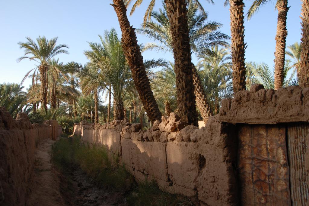 Villa Zagora Ma Villa Au Sahara Buitenkant foto