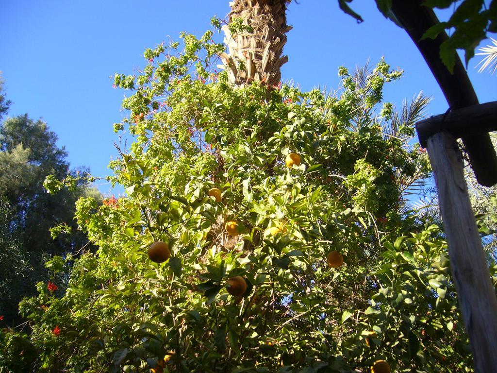 Villa Zagora Ma Villa Au Sahara Buitenkant foto