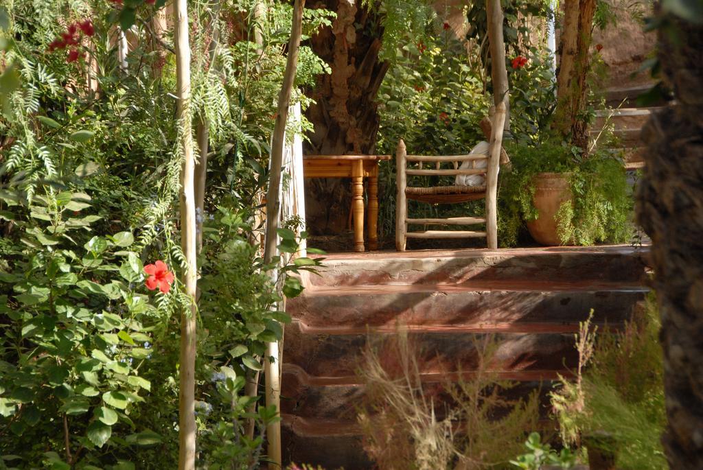 Villa Zagora Ma Villa Au Sahara Buitenkant foto