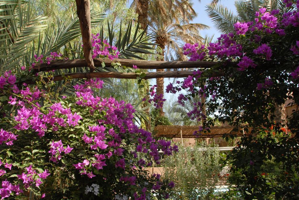 Villa Zagora Ma Villa Au Sahara Buitenkant foto