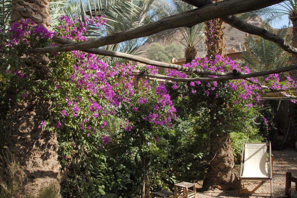 Villa Zagora Ma Villa Au Sahara Buitenkant foto