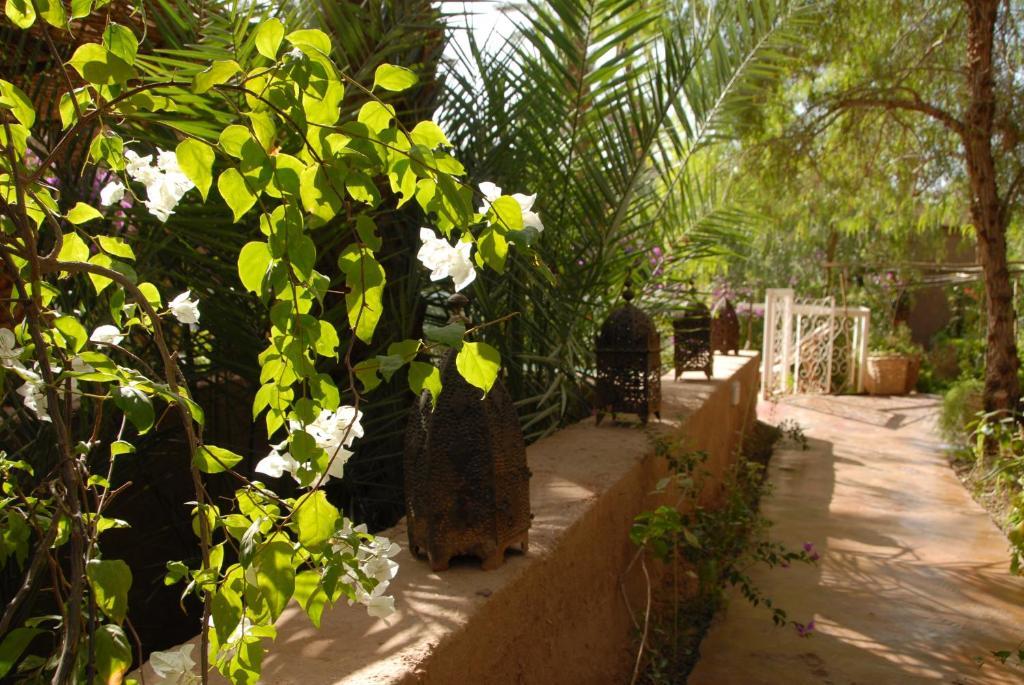 Villa Zagora Ma Villa Au Sahara Buitenkant foto