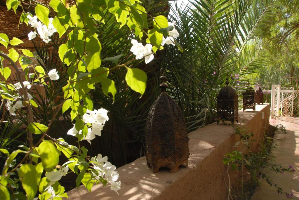 Villa Zagora Ma Villa Au Sahara Buitenkant foto