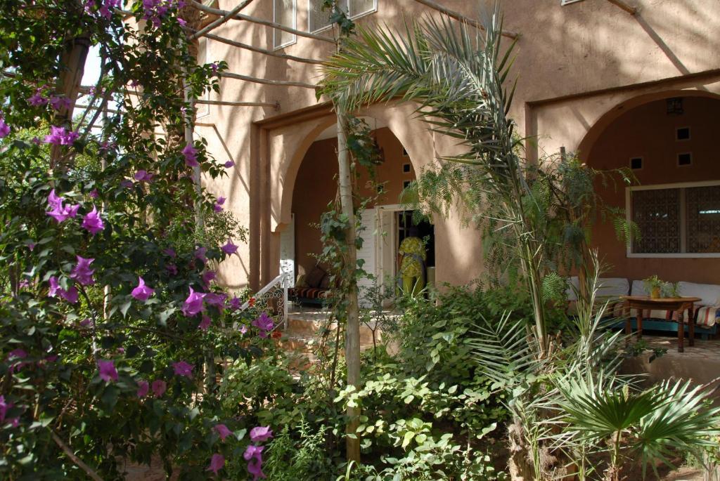 Villa Zagora Ma Villa Au Sahara Buitenkant foto