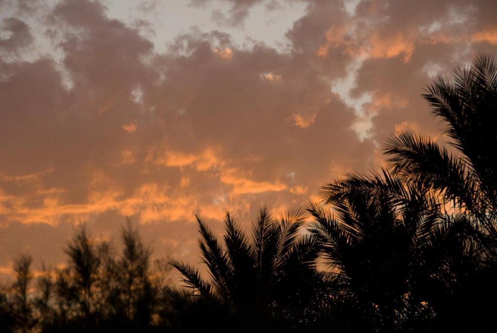 Villa Zagora Ma Villa Au Sahara Buitenkant foto
